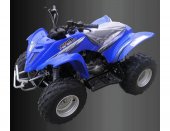 2012 E-Ton Viper RXL 90 photo